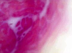 Camera Deep Inside Of The Wet Pussy And Captured The Intense Female Orgasm