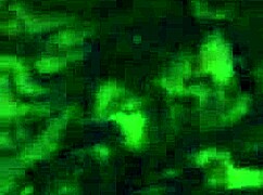 i love watching stephanie clover masturbate her hard cock