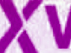 Loren Minardi tries anal sex in detailed scenes including doggystyle and missionary positions.