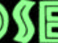 Attractive busty ebony girl reveals her body in a natural setting