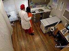 Trump These Bitches Jail Edition - Donna Leigh