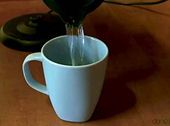 Dirty cheating wife creampie with plumber