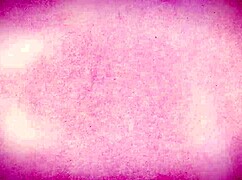 Blonde Big Tits Milf Steals And Is Instantly Cavity Searched And Railed