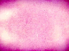 Freeuse Police Officer Titty Fucks.