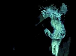 Dark lantern entertainment's vintage pregnant beauty presents english gentleman's 19th century secret diaries