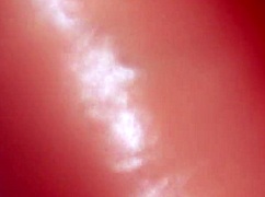 a mother loves her stepson for the first time in japanese story