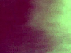 nri canadian collage girl enjoy with her brother in the car