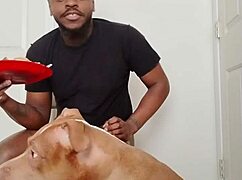 Llamasr Update 1 - March 18, 2025