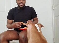 Llamasr Update 1 - March 18, 2025