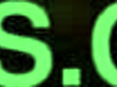 big titty girl gives a blowjob