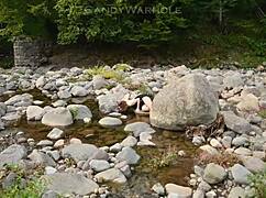 Succubus begs for creampie in her juicy pumpkin.