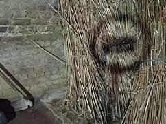 Hey, brother-in-law and sister-in-law are having sex outside the house