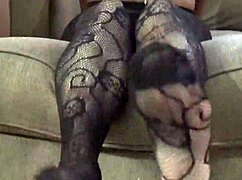 Ebony foot worship in body suit nylons 👣