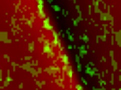 kanedamaaka so exited he ruins my tights in doggystyle