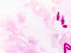 Horny Redhead Maid Wants to Fuck Your Cock