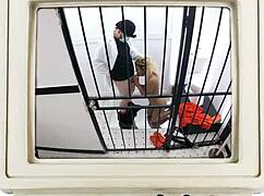 查妮·克罗斯菲尔骚逼被女同志近距离猛干后台花絮