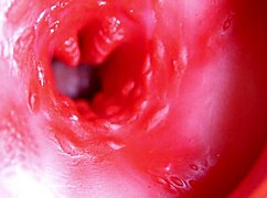A Big Red Cock Inside a Juicy Hole Can Give Sperm at Any Moment