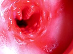 A Big Red Cock Inside a Juicy Hole Can Give Sperm at Any Moment