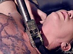 busty milf vibrated?