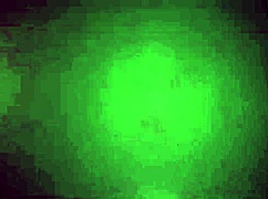 用湿逼大奶付律师费