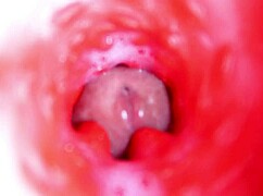 Internal Camera Teases Pussy Creampie