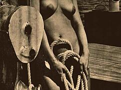 Ever Wondered About Vintage Retro Orgy with Hairy Pussies and Group Fucking?