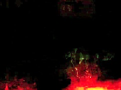 Vintage Hairy Beaver Exposed in Erotic Retro Scenes!