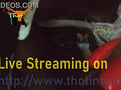 thot in texas gets her pussy pounded and fingered with toothbrush vibrator