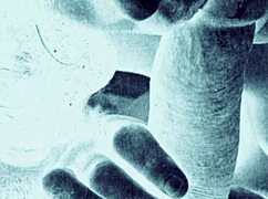 Vintage Erotic Art Featuring Hairy Antique Scenes