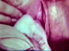 Vintage lezzies with hairy beavers lick in 1950s vs 1960s blue films