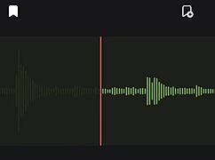 i can't stop listening to that loud screaming neighbor girl