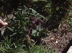 Tory Lane's Big Tits Bounce as Monster Cock Fucks Her Wet Pussy!