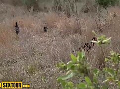 wild african teen's perfect big ass takes horny pussy pounding