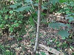 Three girlfriends in bikini shorts jeans MASTURBATE outdoors in forest