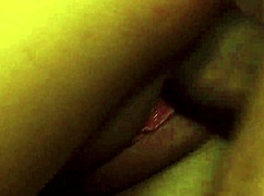 nicole aniston summons stud for rough pounding and facial cumshot!