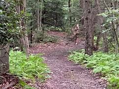 Naked Hiking Compilation Shows Outdoor Exposure Thrills