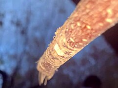 A couple encounters a witch deep in the forest for an intimate outdoor connection amid nature.