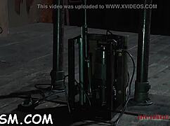 playgirl tempts with tight cunt play using shocking sex toys and heavy jug weights