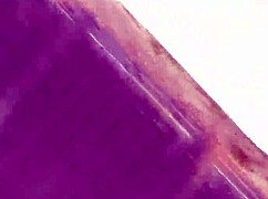 exhibitionist slut bends over begging for rough anal pounding now!